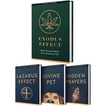 Exodus Effect Bundle